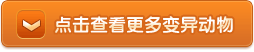 ����鿴������춯��
